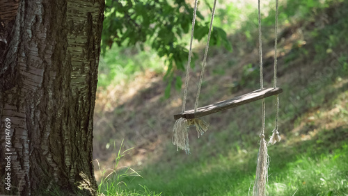 Wooden swing with ropes hanging from big old tree in the countryside garden