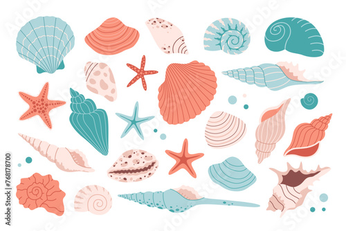 Collection of sea shells, mollusks, starfish, sea ​​snails. Tropical beach shells. Vector illustration in flat style