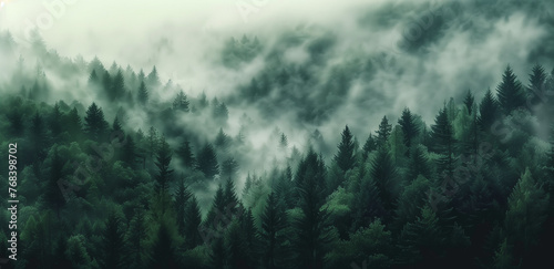 Serene Foggy Forest: Vintage Landscape with Mist