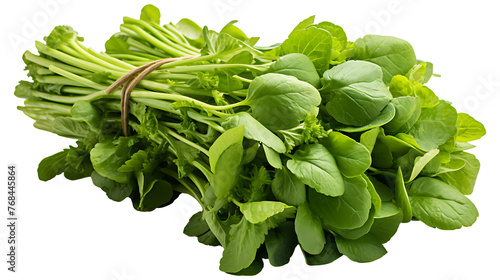 Fresh watercress on a transparent png