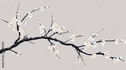 A branch with white flowers on it against a gray background