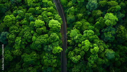 Flat road through healthy rain forest, showcasing the green environment and nature ecosystem for save earth.