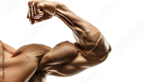 Muscular male arm