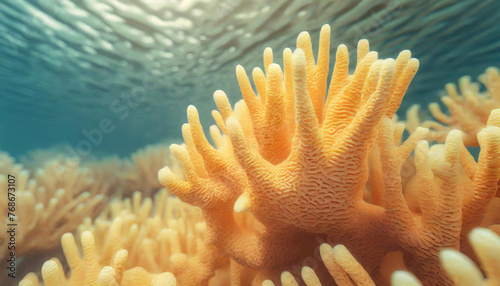 Close-up of minimalistic beautiful natural yellow corals. Coral texture underwater. Marine life.