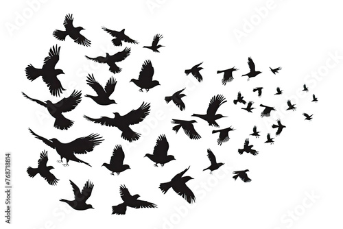 Silhouettes of Flock of Birds in Flight