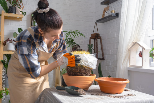 Repotting overgrown home plant large spiny cactus Echinocactus Gruzoni into new bigger pot. A woman in protective gloves wraps a cactus with a bubble wrap so as not to prick herself