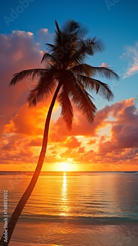 Palm tree silhouette on a tropical beach during sunset with a vibrant orange sky and calm sea