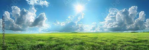 Beautiful spring nature with a neatly trimmed lawn surrounded by trees against a blue sky background with clouds on a bright sunny day.banner.Beautiful summer natural landscape spring grass 
