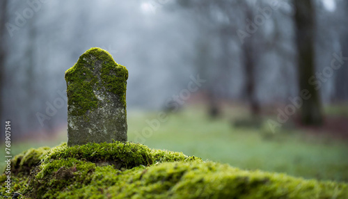 Ancient grave stone in misty forest, green moss. Dark tones. Natural landscape.