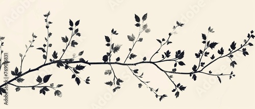 Elegant silhouette of floral vines, minimalist and chic, for sophisticated branding or packaging design, modern and stylish