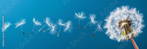 Dandelion seed being carried away by the wind, creating a whimsical scene with space for text.