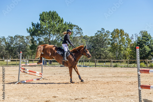 Equestrian Competition 4