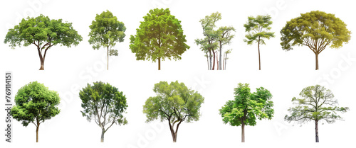 A collection of different types of trees on a png transparent background.