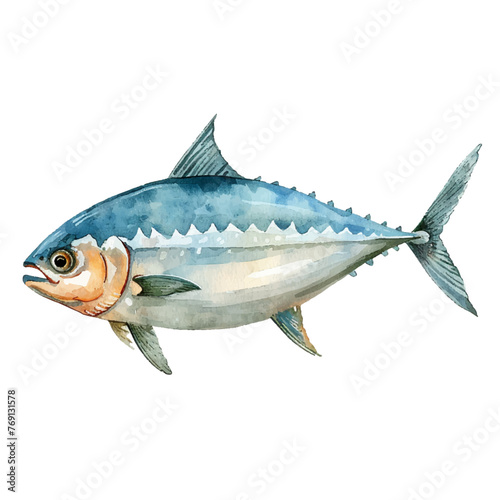 bonito fish vector illustration in watercolour style