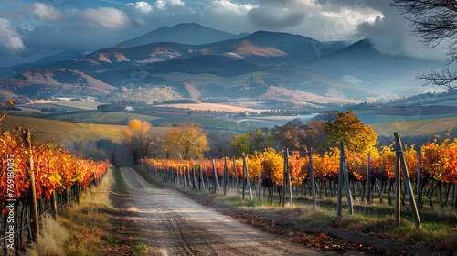 wine vineyards in autumn, Montefalco, Umbria, Italy