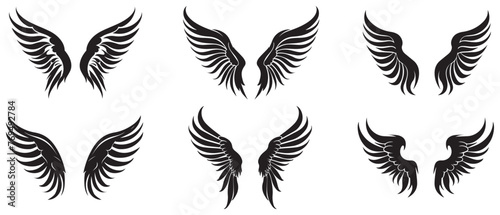 Wings style black icon vector feathers beautiful design.