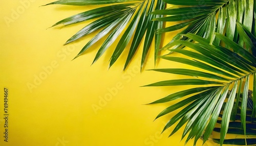 Liście palmy na żółtym tle. Letnie tło