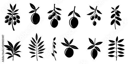 Olive branches with long leaves vector collection. Set of black silhouettes leaves and tree branches. Hand drawn foliage, herbs, tree twig. Vector ink elements isolated on white background.