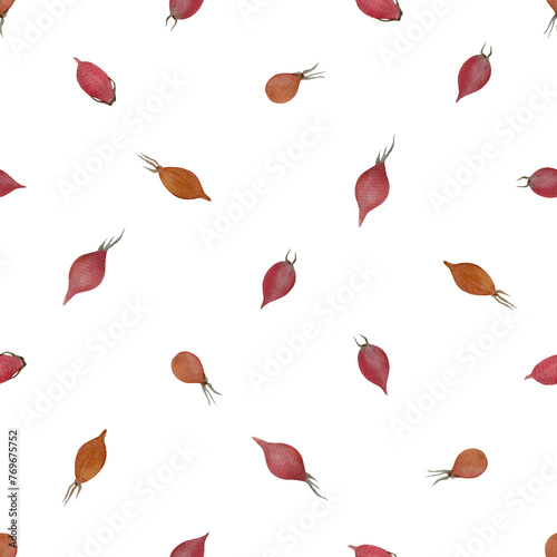 Rose-hip watercolor seamless pattern isolated on white