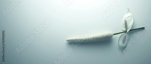  White object with leaf on blue background with shadow