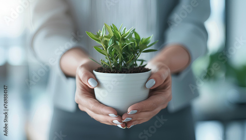 Business hands giving pot with green plants to each other are the symbol of green business company on blurred white office background