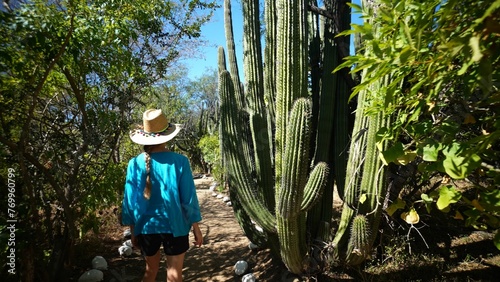 Camera follow behind a mature woman walking through desert among elephant cactus in Baja California Sur, Mexico near Triunfo in.