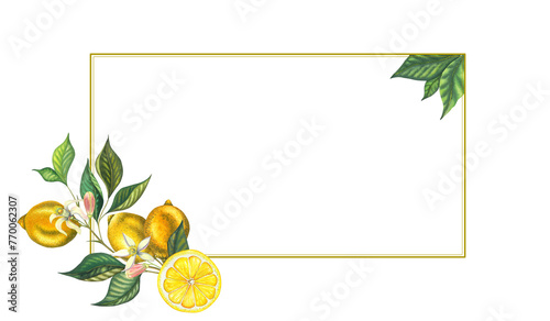 Watercolor frame with blooming lemon branch with leaves, pink flowers, yellow lemons and cut fruit. Hand drawn yellow fruits and flower isolated on white background. Fresh citrus illustration for