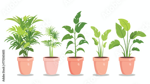 House plant flat vector isolated on a white background