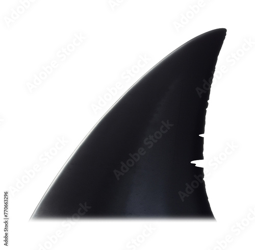 Shark Fin Isolated on Transparent Background 