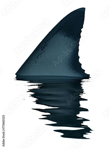 Shark Fin above Water with Reflection Isolated on Transparent Background 