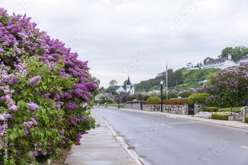 Lilacs in front of Marquette Park on Mackinac Island