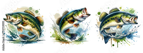 Watercolor Bass Fishing Clipart