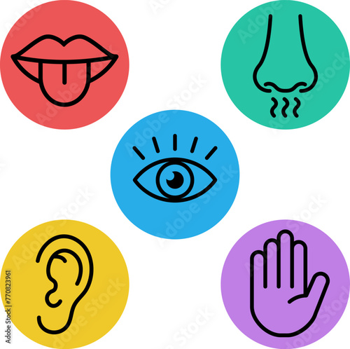 Five senses icons design in outline style.