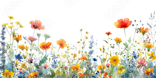 watercolor of coloful flowers in the garden with transparent background for decorating