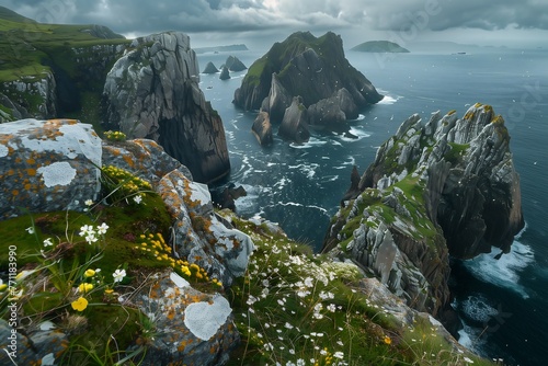 rocks flowers growing edge cliff wide angle lens universe ireland tall spires magazine sea islands wondrous