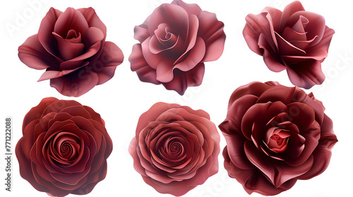 Don Juan Rose Digital Art: A Vibrant 3D Floral Illustration Isolated on Transparent Background, Perfect for Valentine's Day and Romantic Design Projects