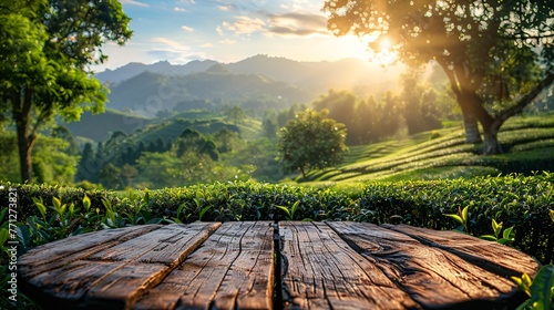 Round timber table surface with hazy tea farm scenery under blue sky and blurred foliage border. Display idea with organic backdrop.
