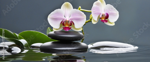 Orchids and spa stones balance on calm water banner colorful background