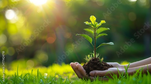 Trees planted in human hands with natural green background. environmental protection On the occasion of World Environment Day.