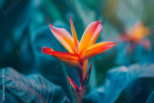 a vibrant tropical flower blooming amidst a sea of greenery