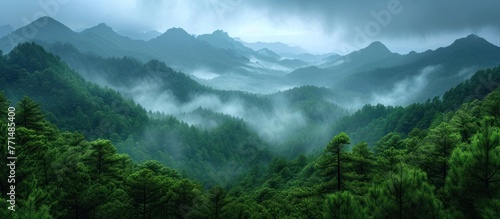 green forest with natural landscape of mountains with cloudy sky