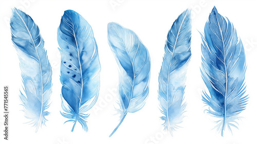 Penas de pássaro azul em aquarela no fundo branco
