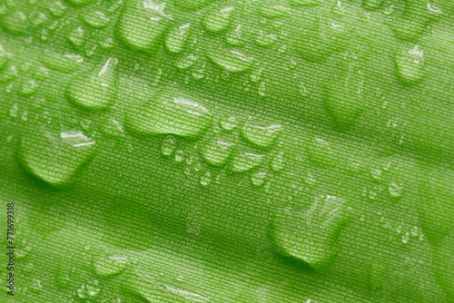 Close-up of bright green tropical plant leaf with fresh water drops 
