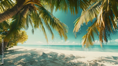Beautiful tropical beach banner. White sand and coco palms travel tourism wide panorama background concept. 