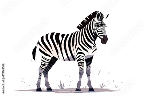 Graphic illustration of zebra standing, with a simple white background. Flat vector.