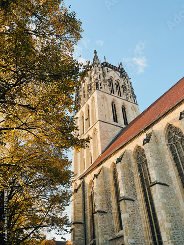 Wandering through Münster's charming streets and historic landmarks captured in these photos. A beautiful blend of old and new architecture.