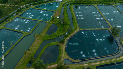 prawn farm with aerator pump in front. Business of raising animals for export. Aquaculture business in Thailand.