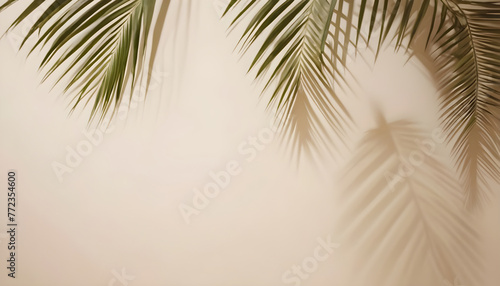 Background shadow from palm leaves wall summer spring