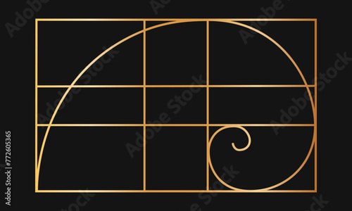 Golden ratio template. Gold logarithmic spiral in rectangle frame divided on lines. Fibonacci sequence grid. Perfect symmetry proportions layout. Nature harmony graphic formula. Vector illustration.