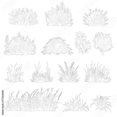cad vegetation, linear illustrations